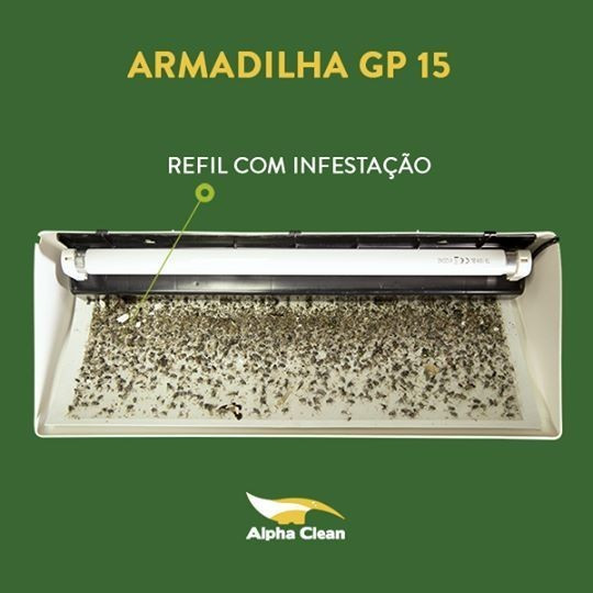 Alpha Clean Controle de Pragas - Criciúma